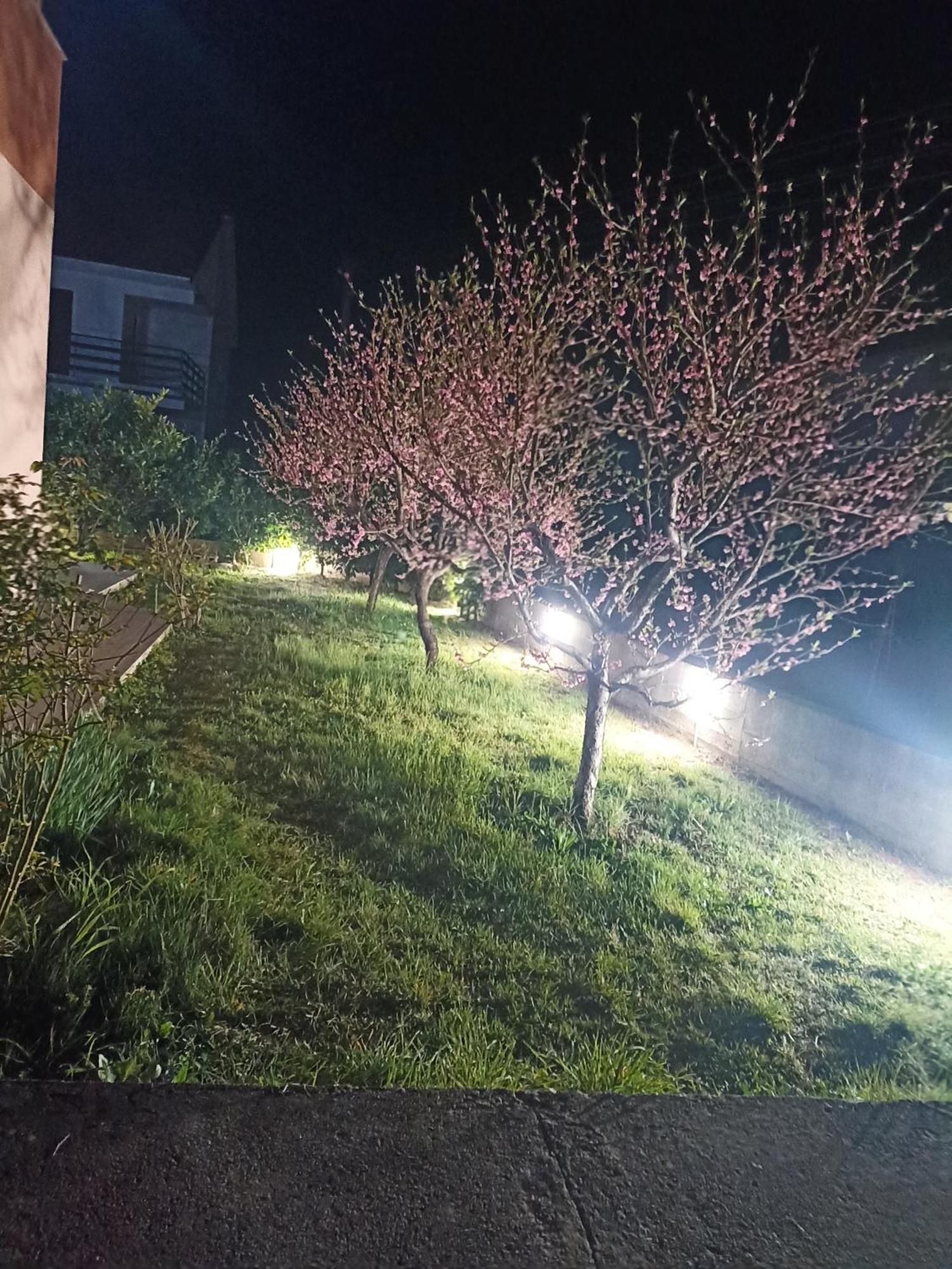 Apartmani Slado Trebinje Kültér fotó